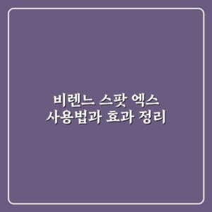 비렌느 스팟 엑스 사용법과 효과 정리
