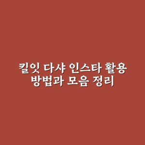 킬잇 다샤 인스타 활용 방법과 모음 정리