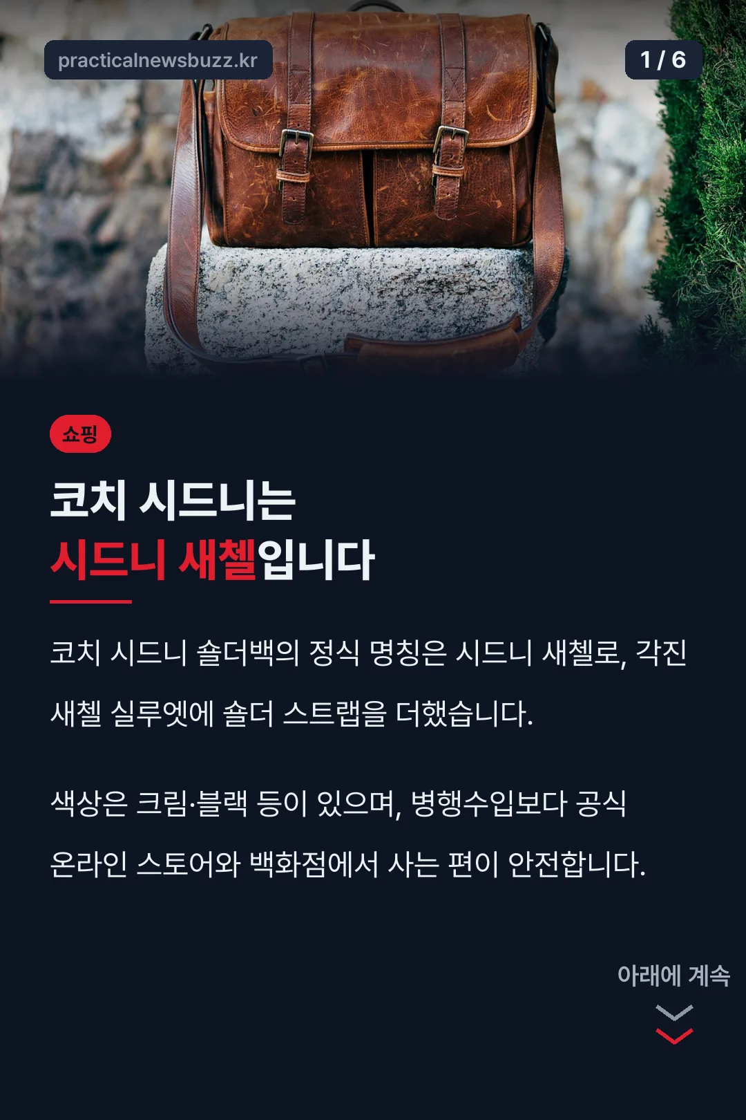 코치 시드니는 시드니 새첼입니다