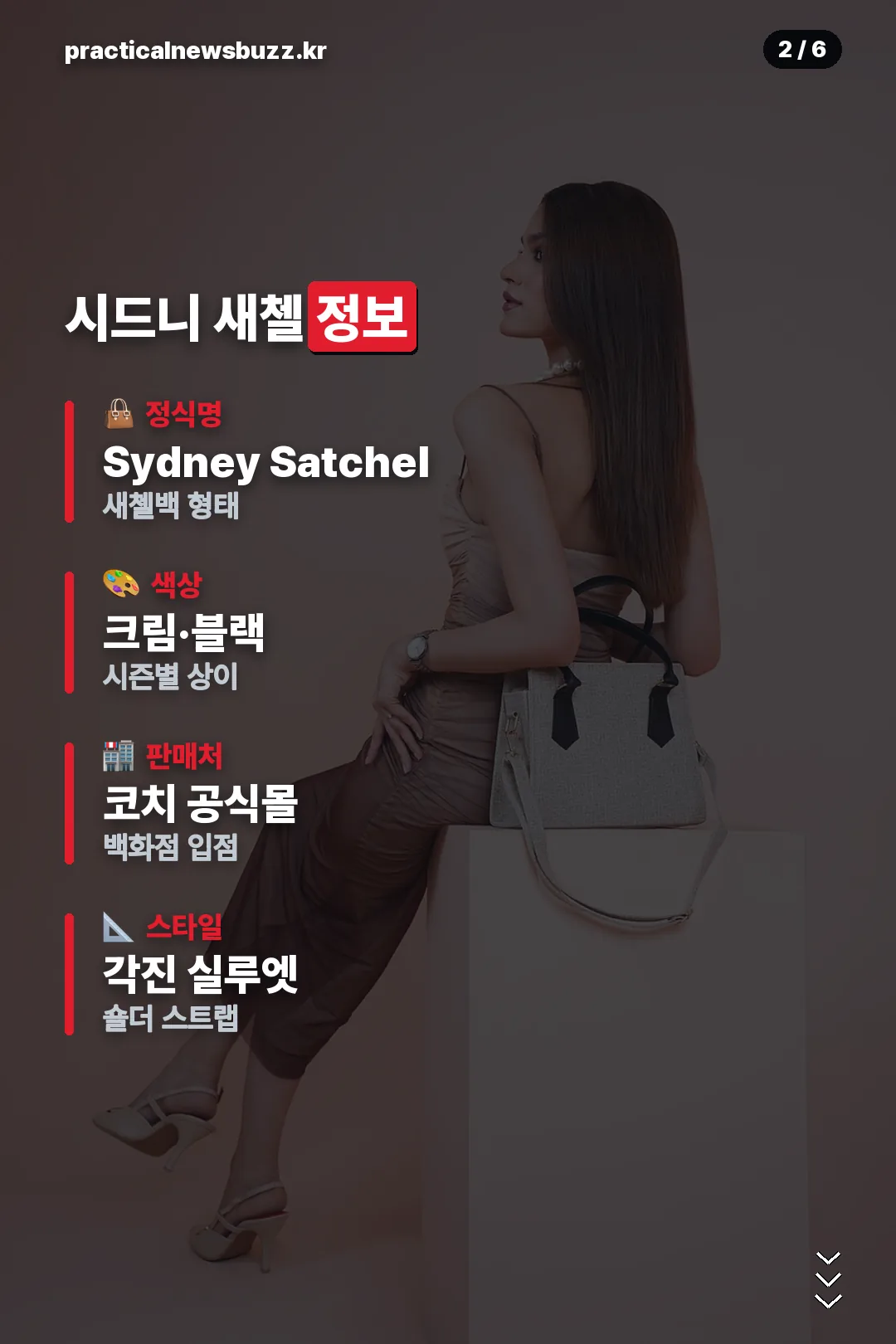 시드니 새첼 정보