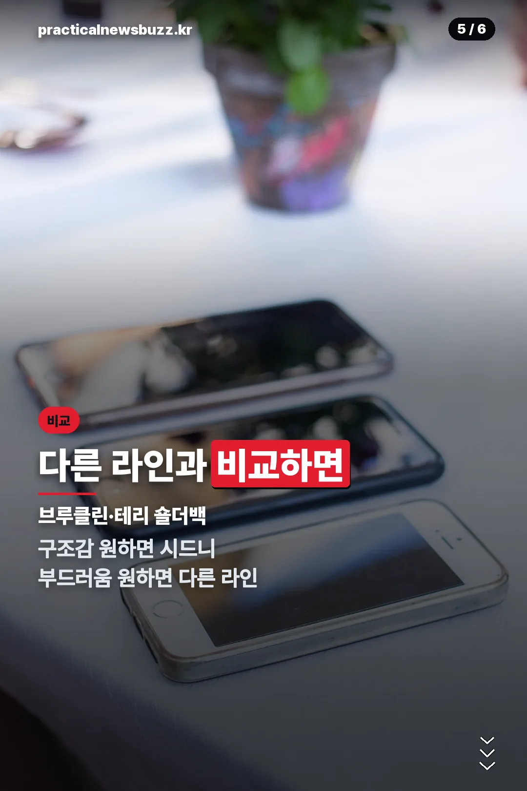 다른 라인과 비교