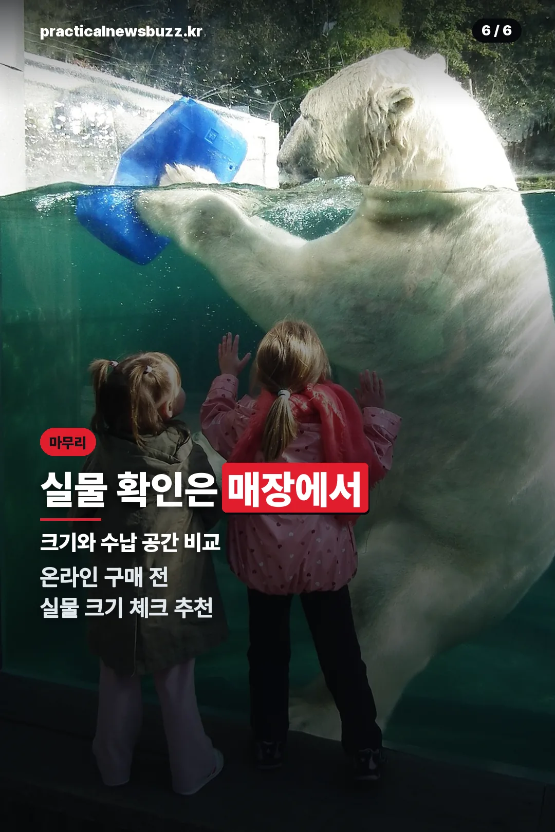 실물 확인 마무리