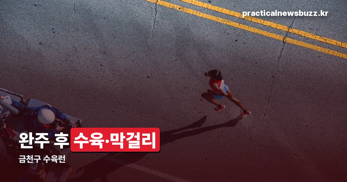 금천구 수육런 정리 썸네일