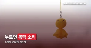 조계사 공덕키링 어디서 사나 — 판매처와 가격, 재고 확인하는 법