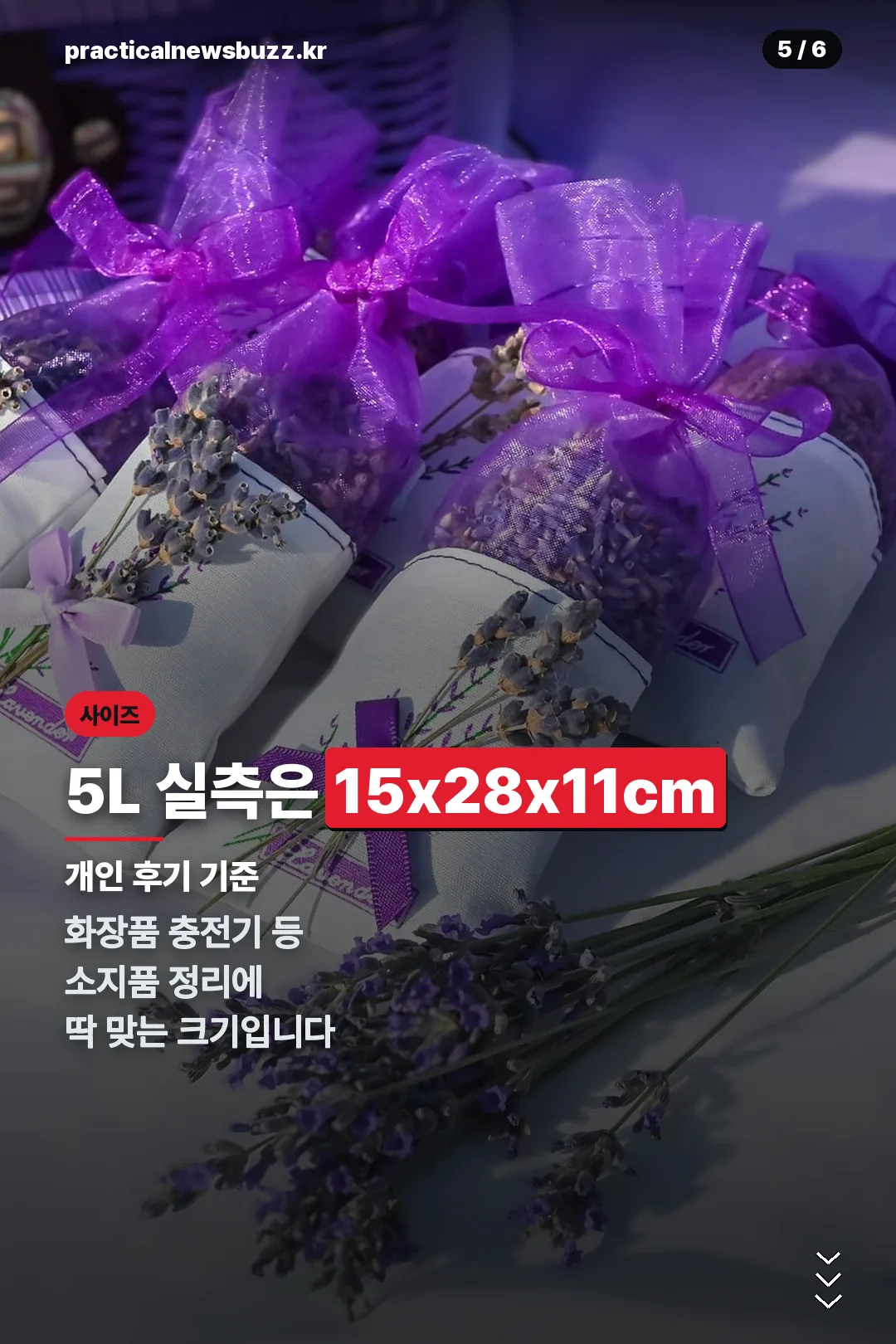 5L 실측 사이즈
