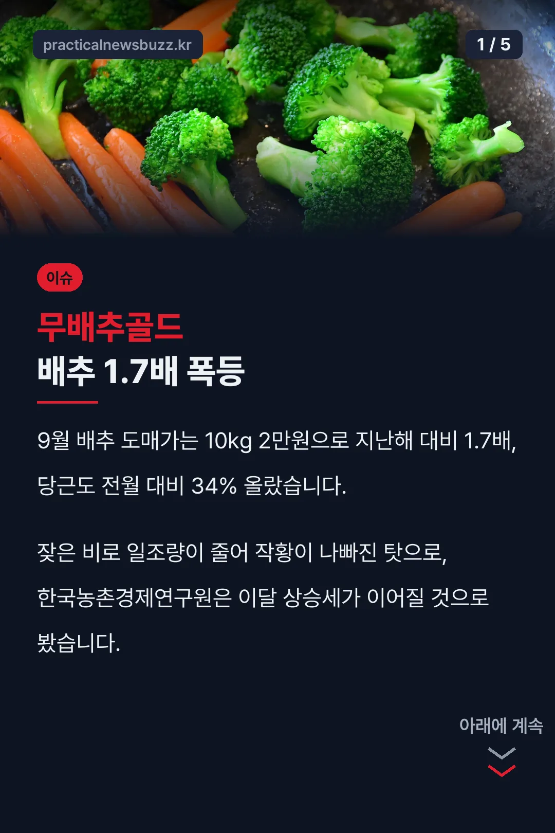 무배추골드 배추 1.7배 폭등