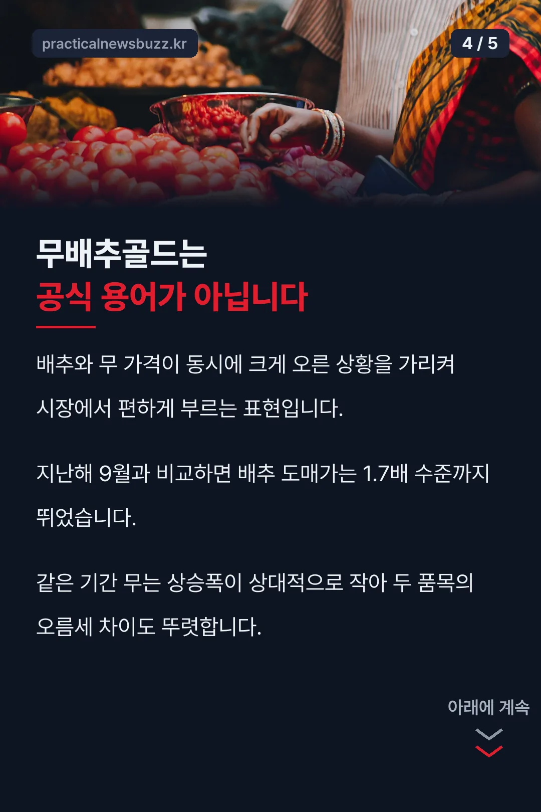 무배추골드 핵심 정리