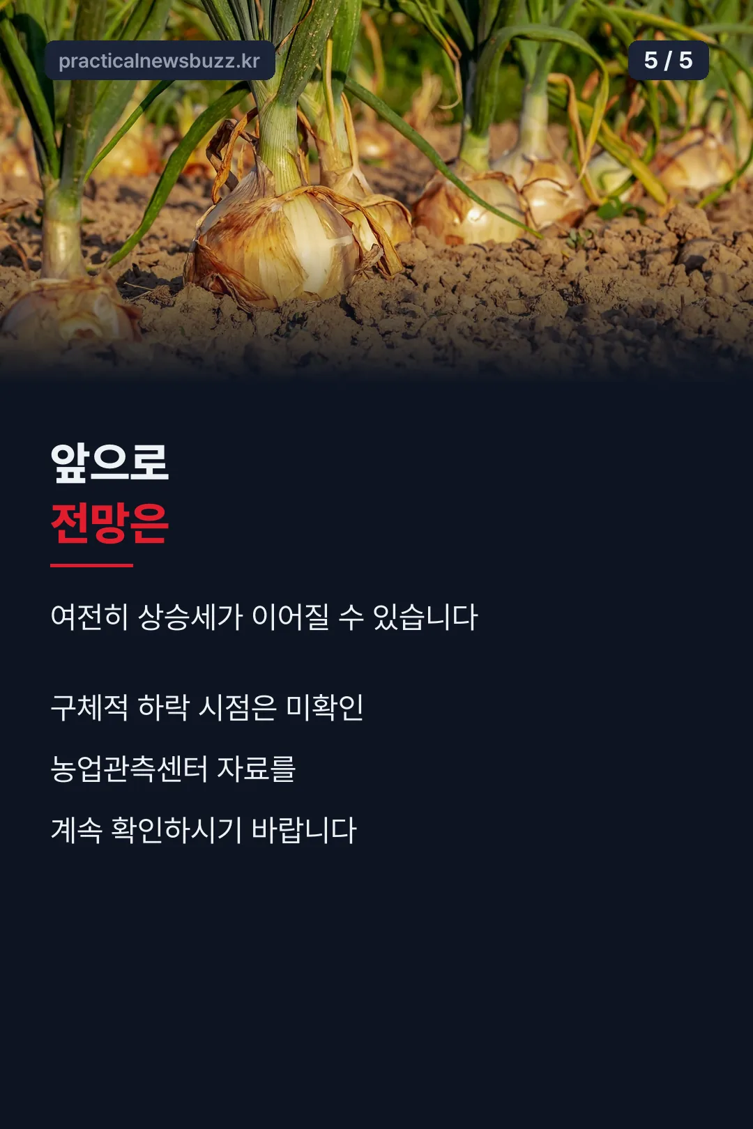 전망 마무리 카드