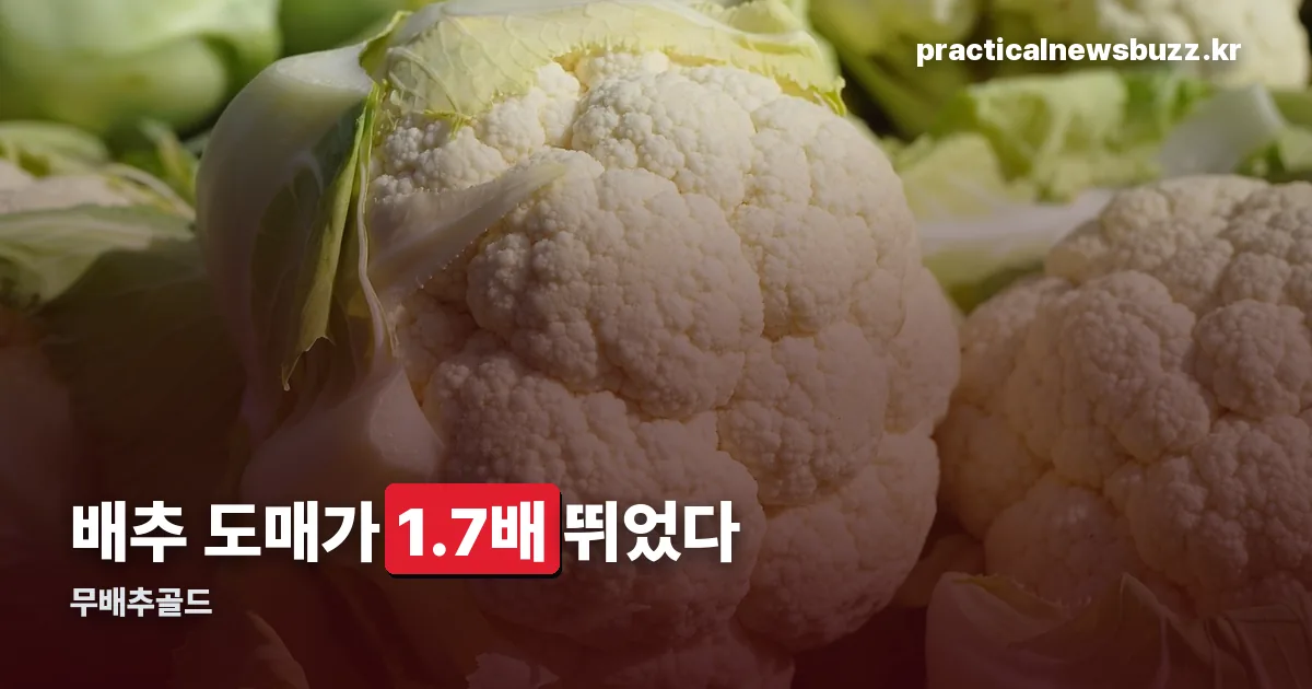 무배추골드 정리 썸네일