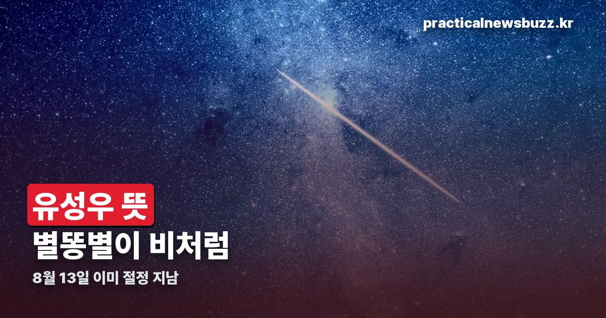 유성우 뜻 정리 썸네일