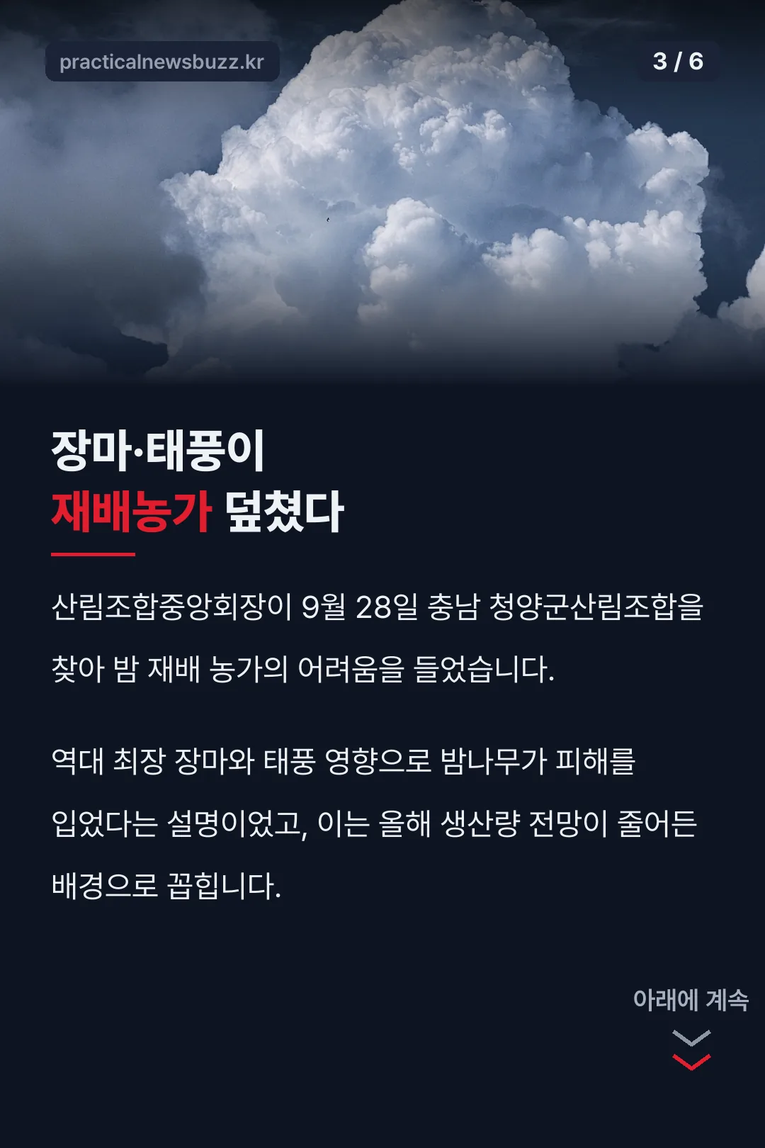 장마·태풍 피해 원인