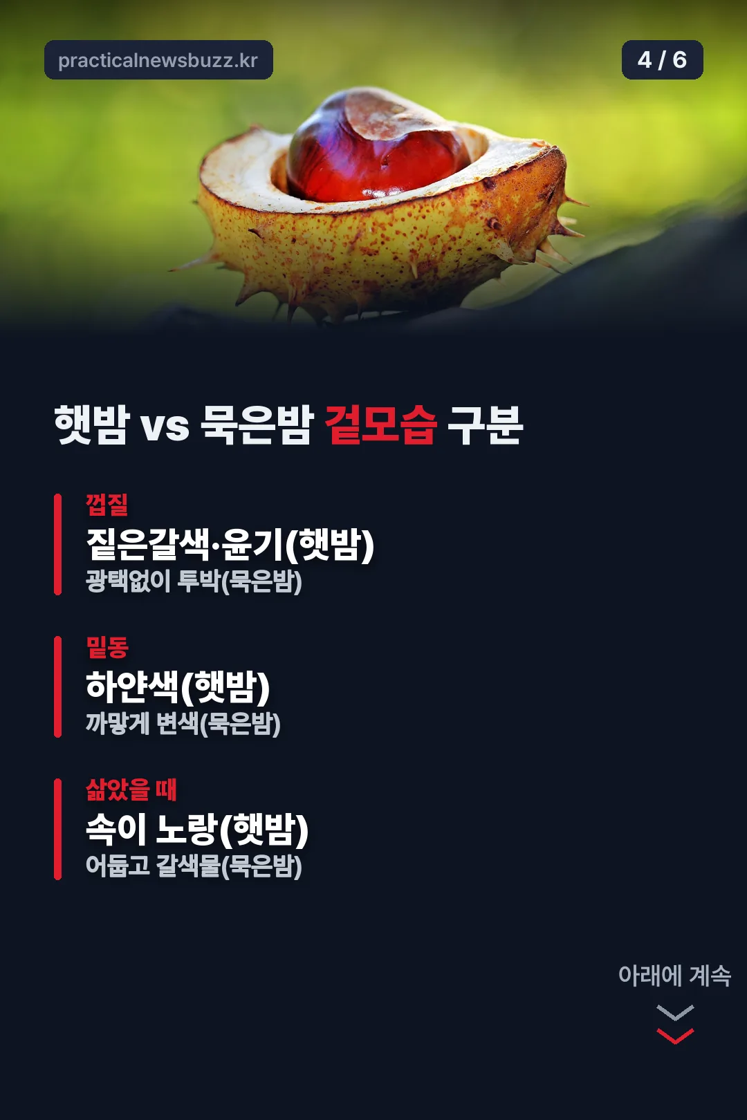 햇밤 묵은밤 구분법