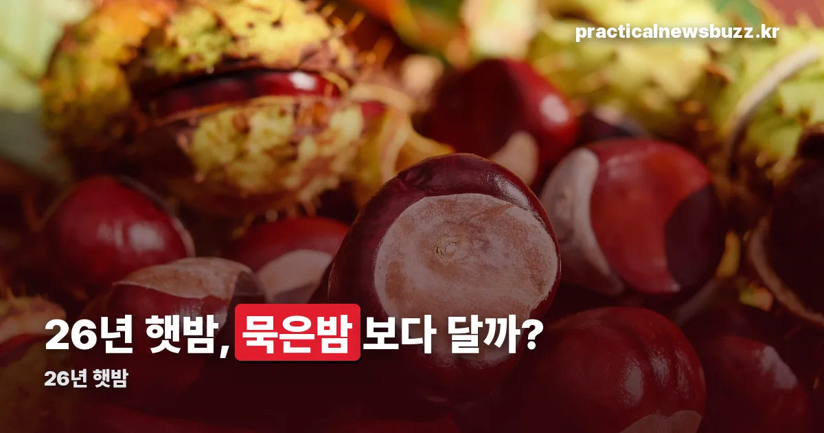26년 햇밤 정리 썸네일