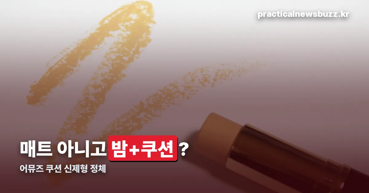어뮤즈 쿠션 정리 썸네일