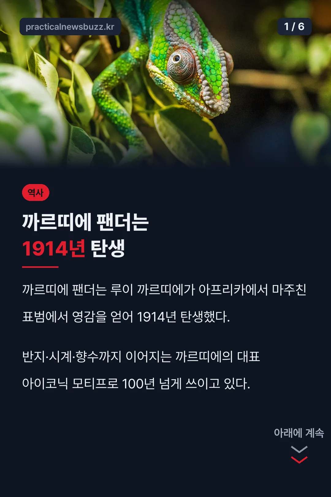 까르띠에 팬더 핵심 정리
