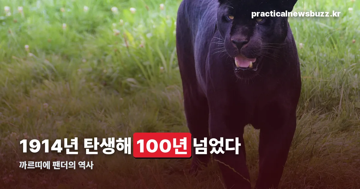 까르띠에 팬더 정리 썸네일