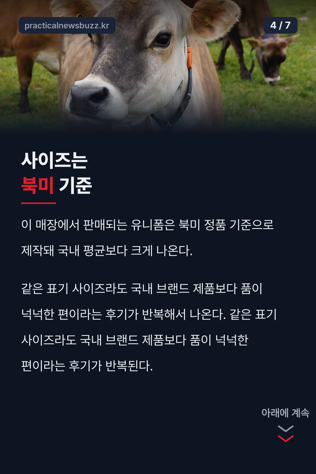 북미 사이즈 특징