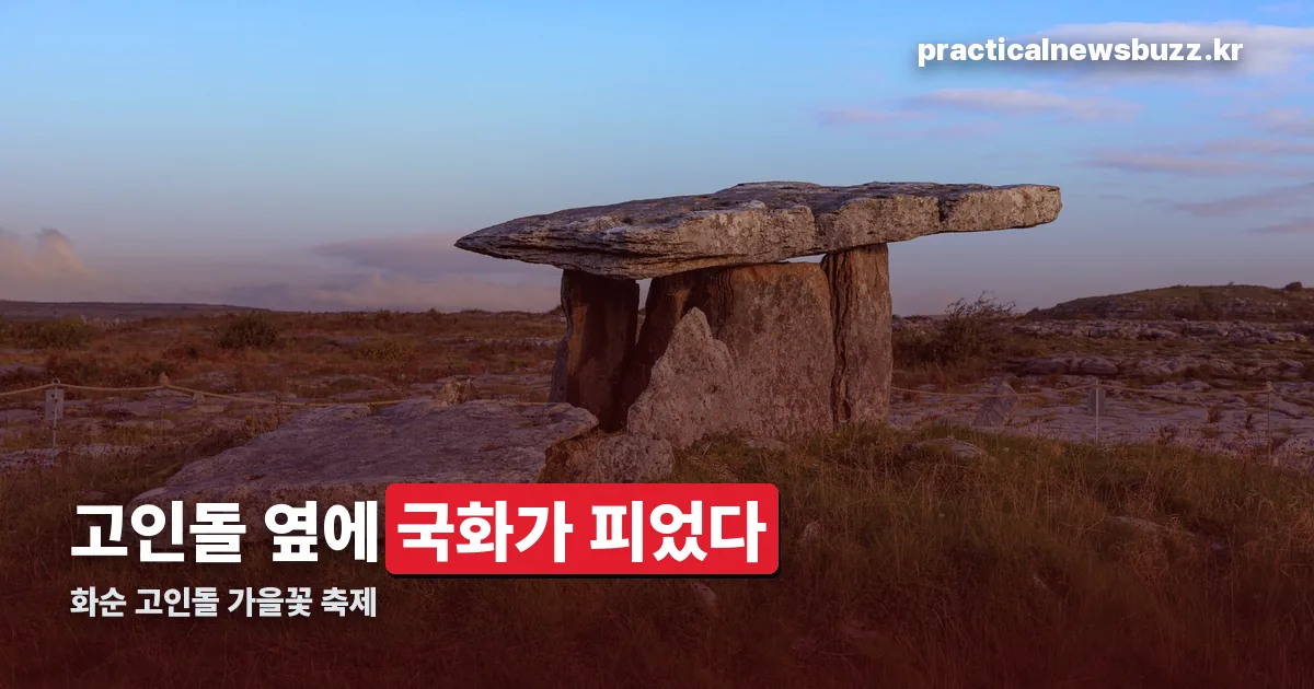 세계문화유산 화순 고인돌 가을꽃 축제 정리 썸네일