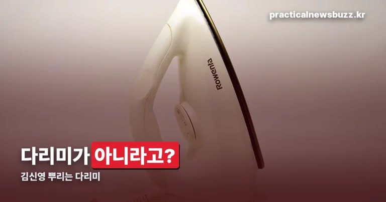 김신영 뿌리는 다리미 정리 썸네일