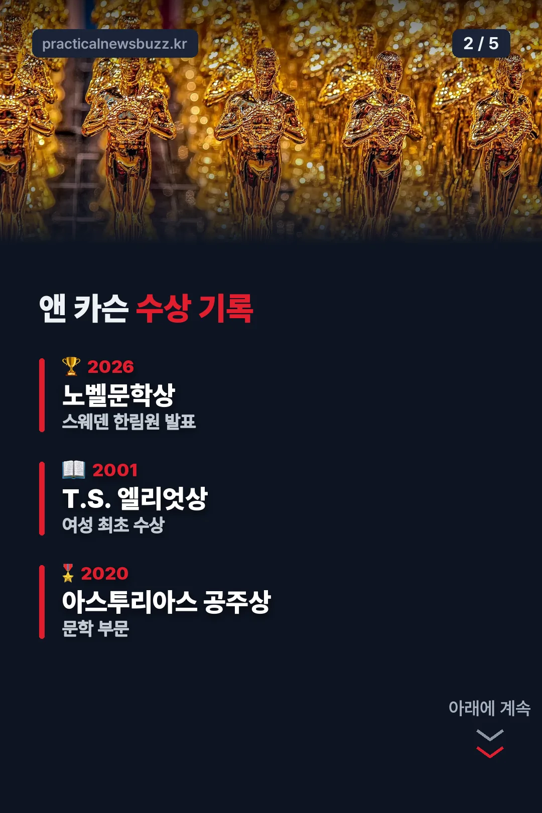 앤 카슨 수상 기록표