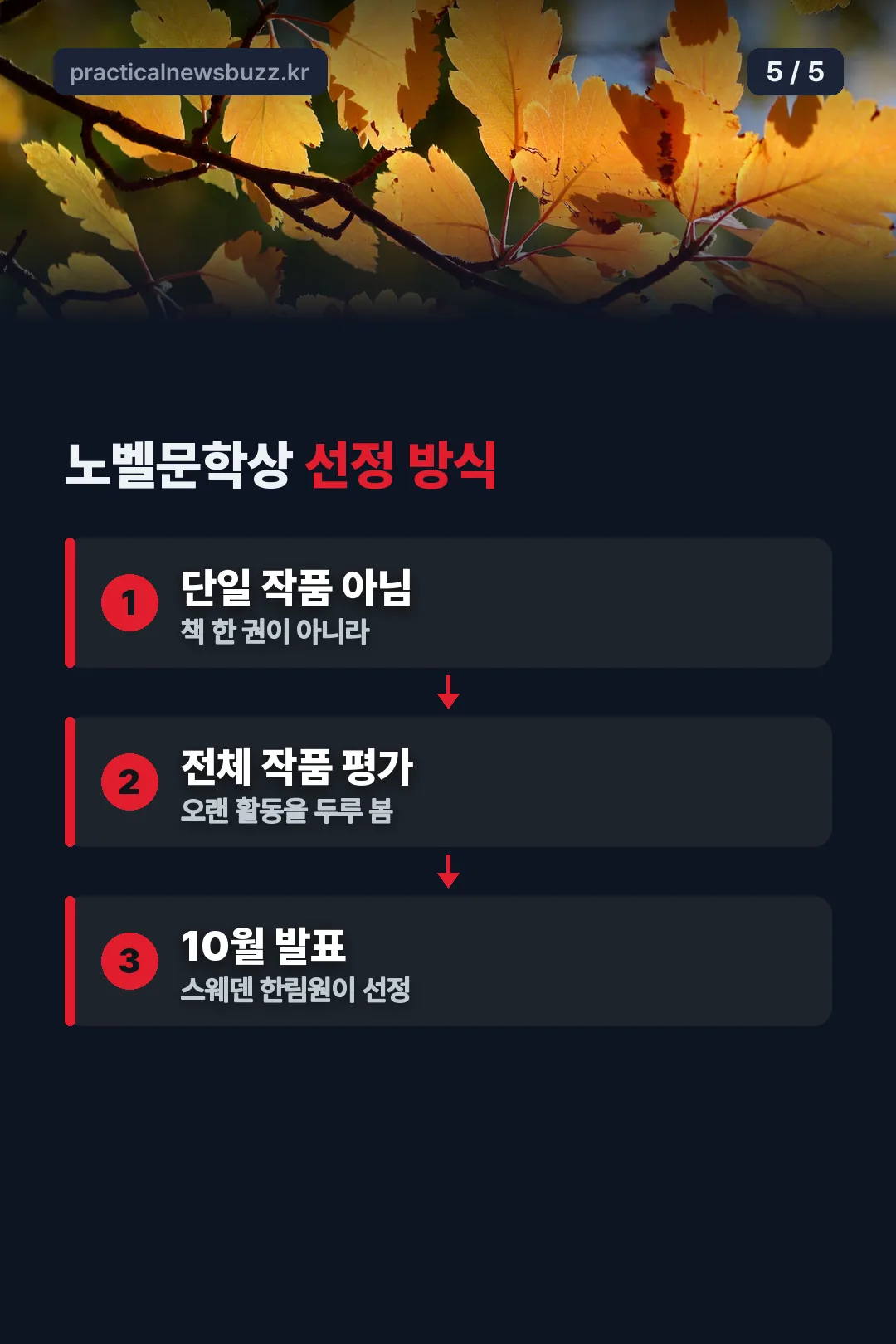 노벨문학상 선정 방식
